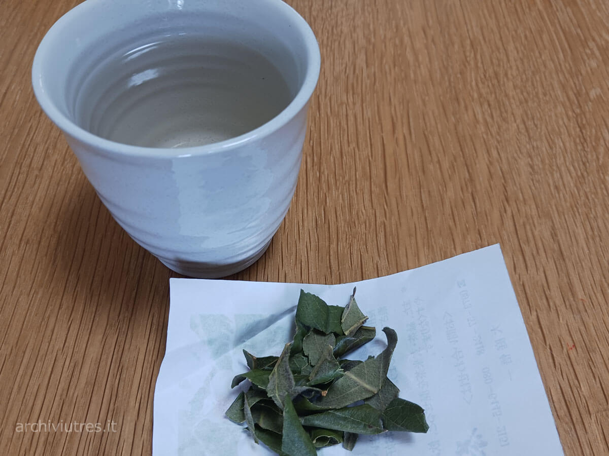 Tisana alle foglie di nespolo (biwa)